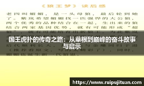 国王虎扑的传奇之路：从草根到巅峰的奋斗故事与启示
